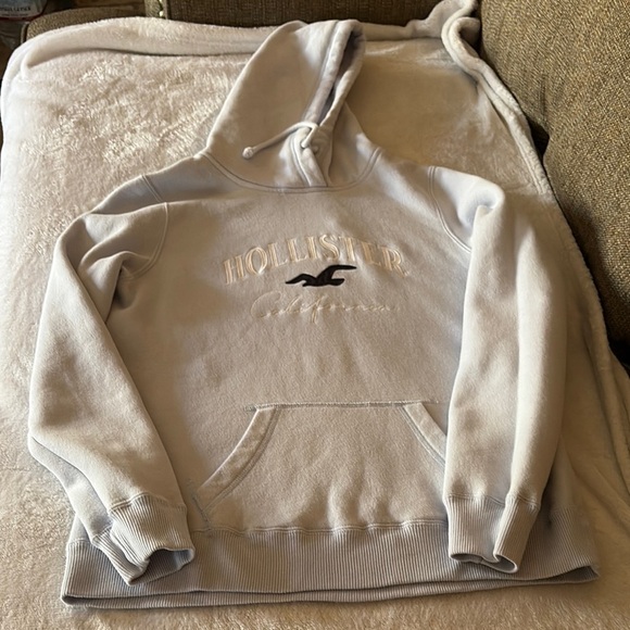 Gently Loved Unisex Embroidered Hoodie by Hollister - Picture 1 of 8